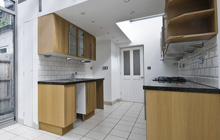 Abbotstone kitchen extension leads